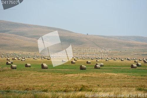 Image of summer landscape