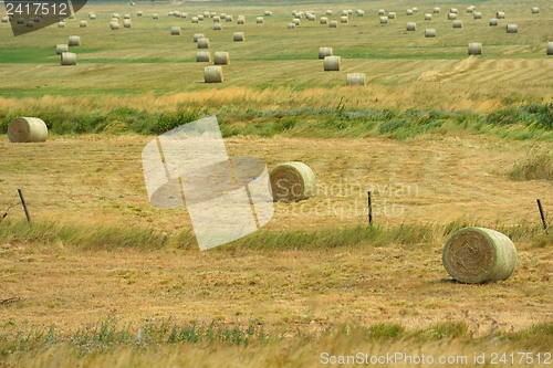 Image of summer landscape