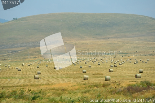 Image of summer landscape