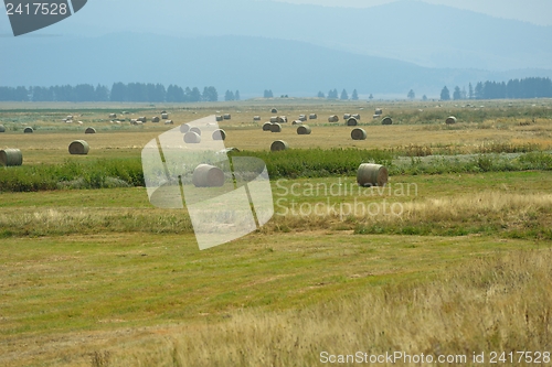 Image of summer landscape