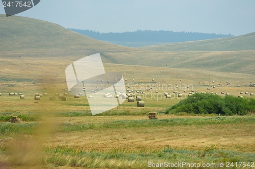 Image of summer landscape