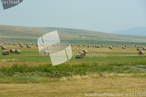 Image of summer landscape