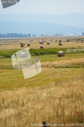 Image of summer landscape