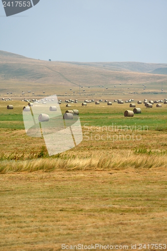 Image of summer landscape