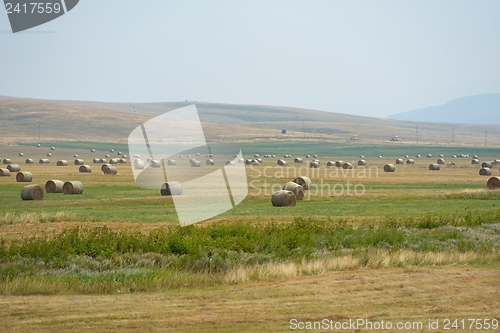 Image of summer landscape