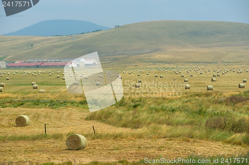 Image of summer landscape