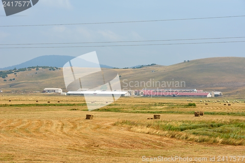 Image of summer landscape