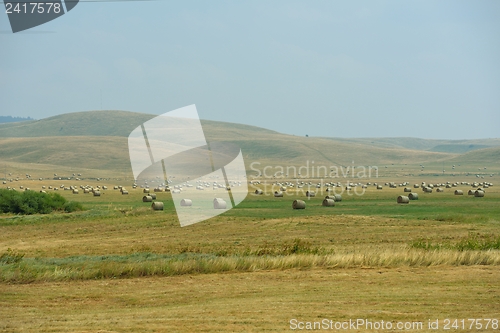 Image of summer landscape