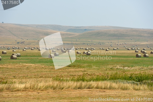 Image of summer landscape