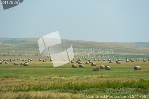 Image of summer landscape