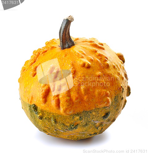 Image of pumpkin on a white background