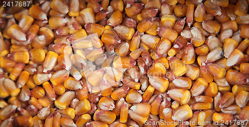 Image of Sweet corn