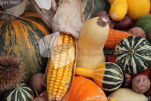 Image of Autumn Harvest