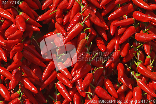 Image of Calabrian red pepperoncino