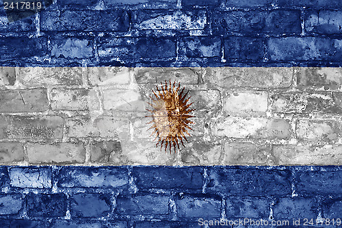 Image of Argentinian flag on wall