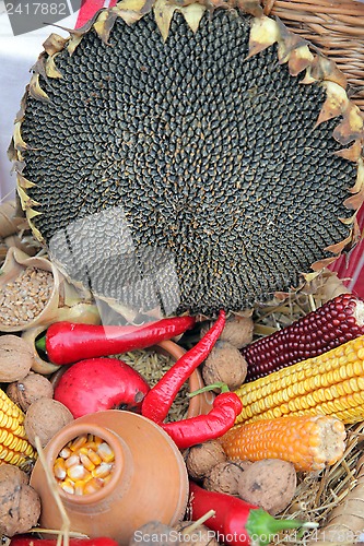 Image of Autumn Harvest