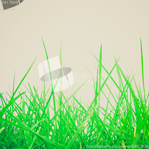 Image of Retro look Grass meadow weed