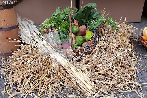 Image of Autumn Harvest