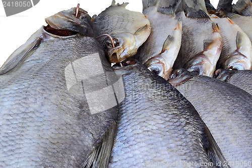 Image of Salted and dried river fish on a white background.