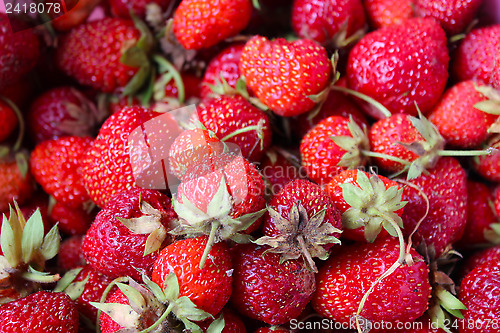 Image of Set of a ripe strawberry