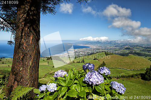 Image of The landscapen on Sao Miguel