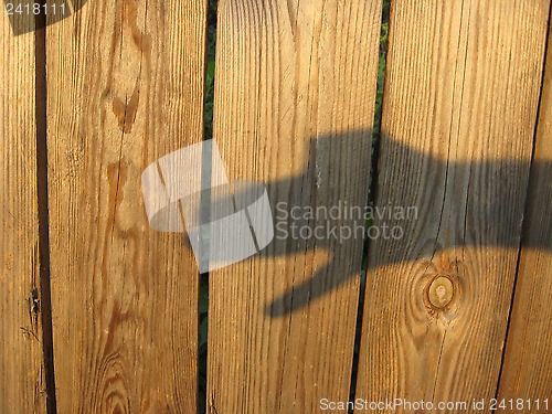 Image of the playing of shadows on the fence