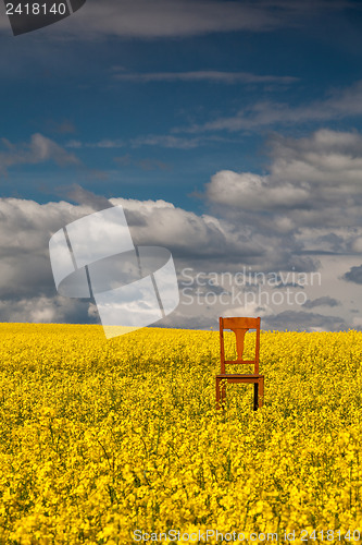Image of Lonely chair on the empty rape field