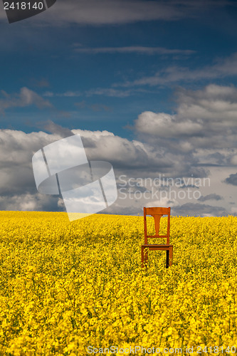 Image of Lonely chair on the empty rape field