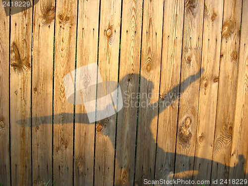 Image of the silhouette of playing shadows on the fence