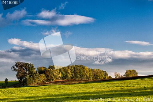 Image of Autumn meadow at sunset