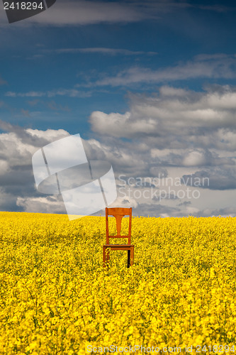 Image of Lonely chair on the empty rape field