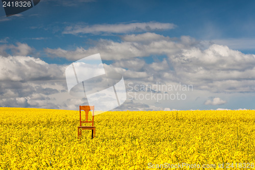 Image of Lonely chair on the empty rape field