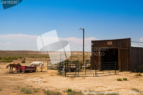 Image of The horses on the Wyoming farm