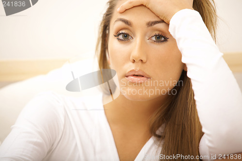 Image of Sweety on bed