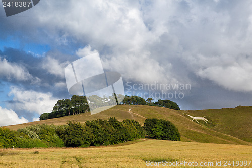Image of White horse on the hill
