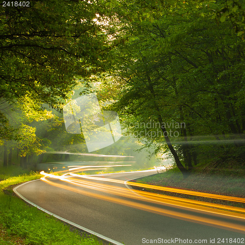 Image of Speed - morning on the road in forest