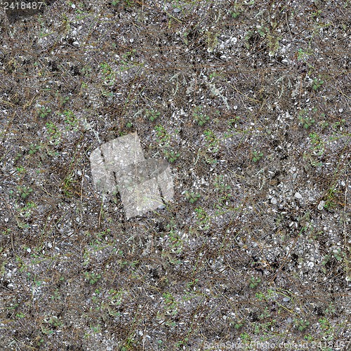 Image of Seamless Texture of Coastal Land.