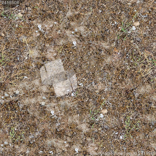 Image of Seamless Texture of  Prairie Soils.
