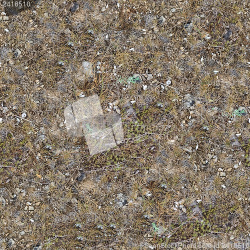 Image of Seamless Texture of Rocky Steppe Soil.