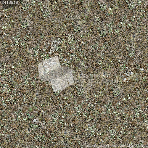 Image of Seamless Texture of Steppe Soil.