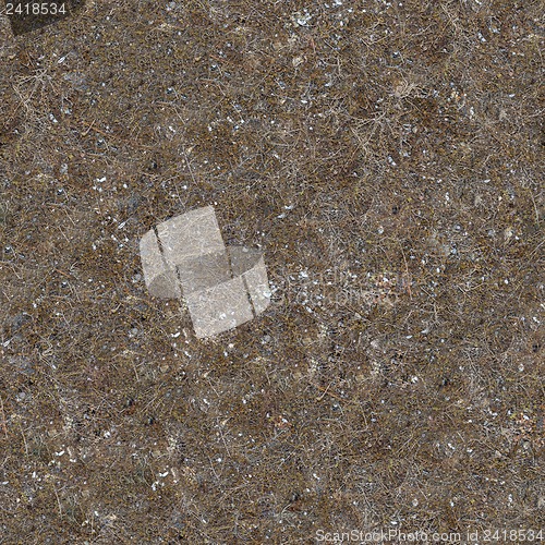 Image of Seamless Texture of Soil Post-apocalyptic Period.