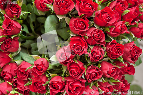 Image of roses background
