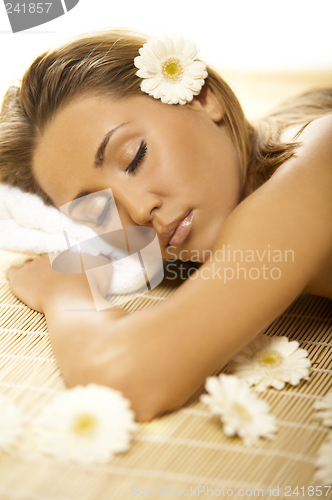 Image of Spa Relaxing V