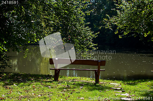 Image of Autumn afternoon in a park.