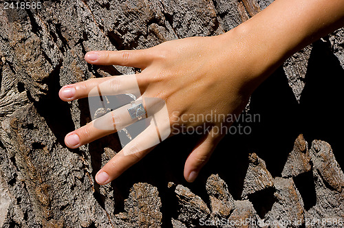 Image of The old trunk and women's hand.