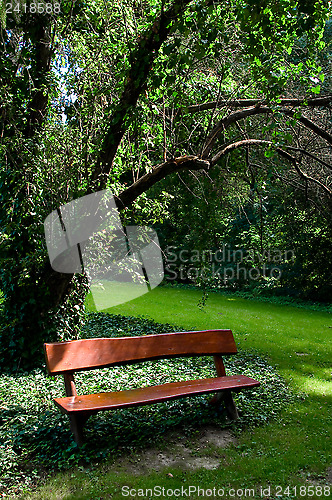 Image of Autumn afternoon in a park.