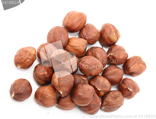 Image of hazelnut