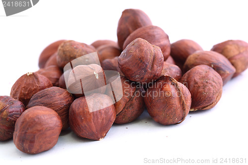 Image of hazelnut