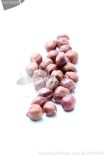 Image of hazelnut