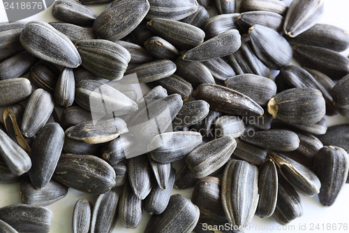 Image of sunflower seeds